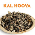 KAL HOOVA image 0
