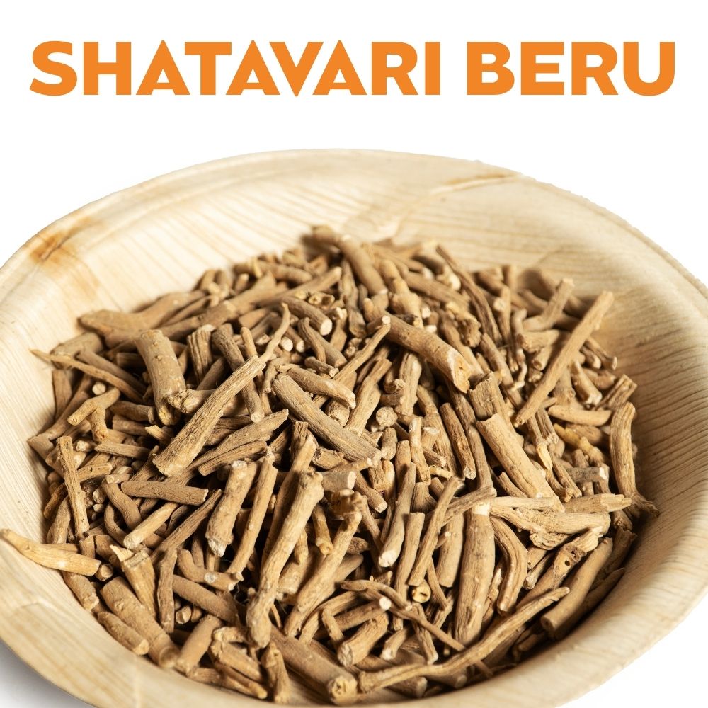 ASHWAGANDHA image 0