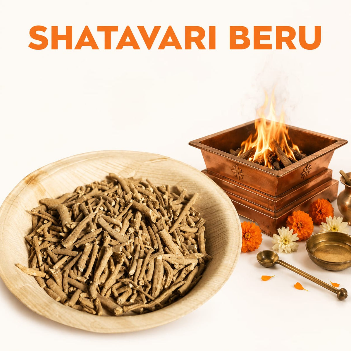 ASHWAGANDHA image 1