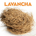 LAVANCHA image 0