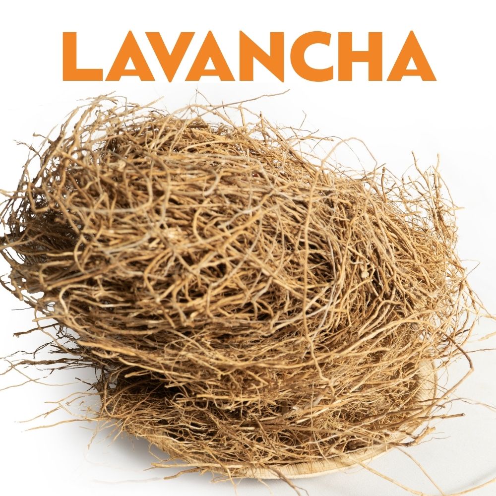 LAVANCHA image 0