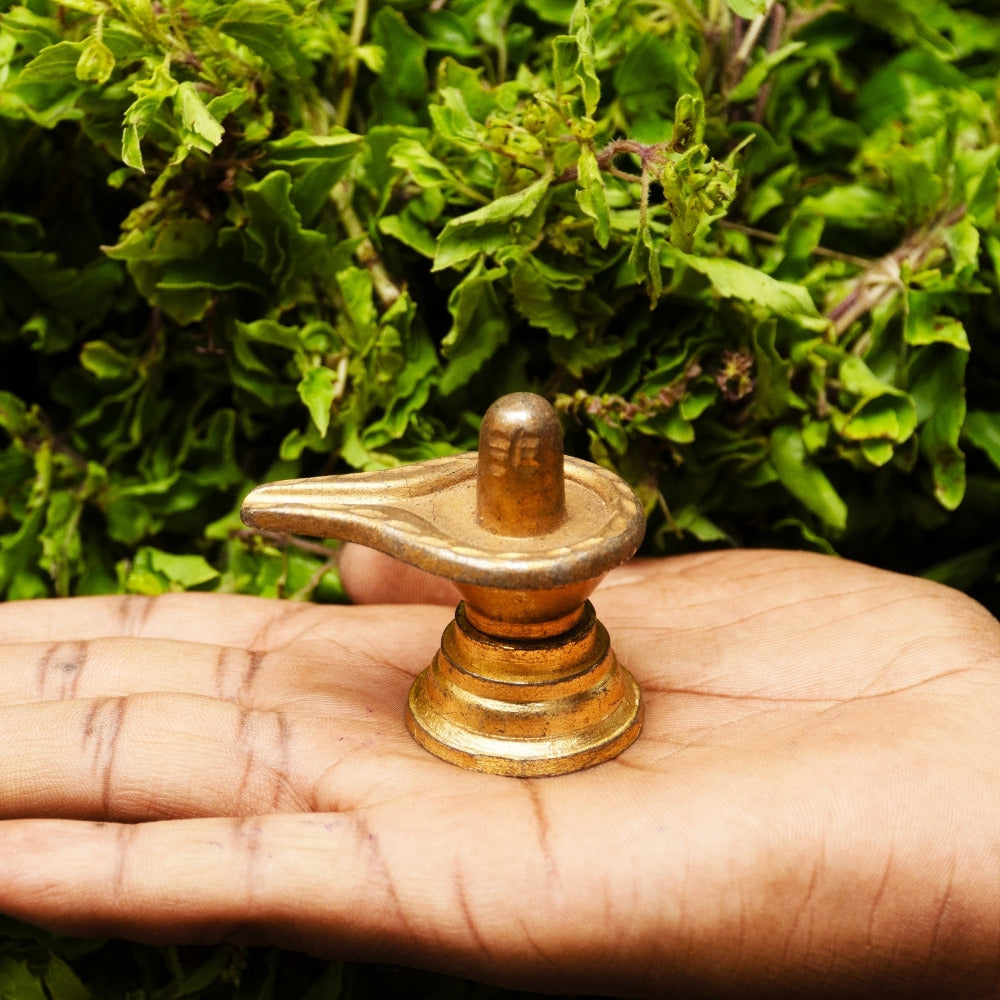 Shiva Vigraha image 0