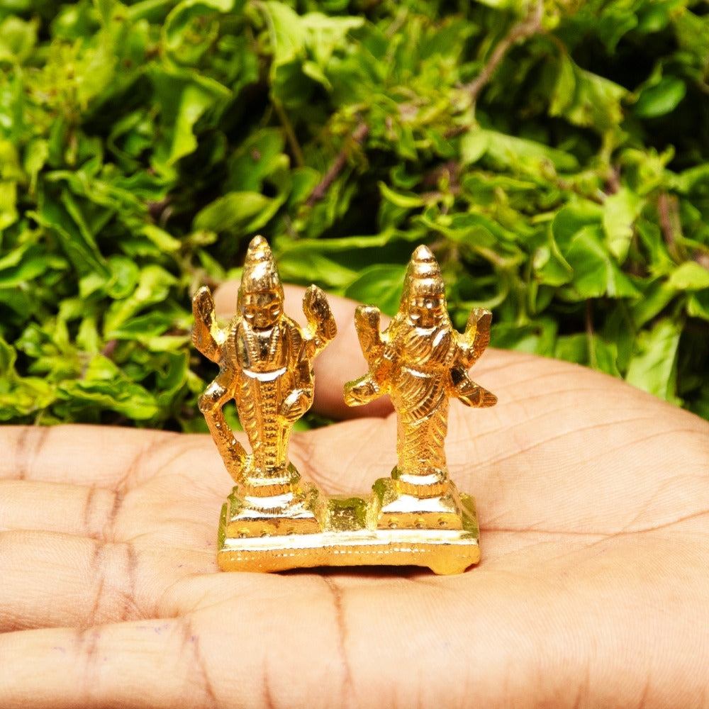 Lakshmi Narayan Vigraha image 0