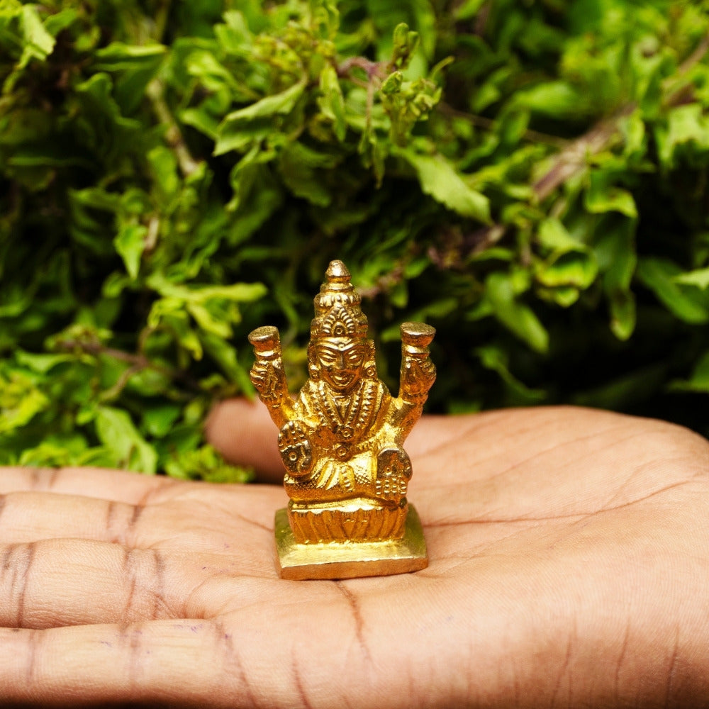 Lakshmi Vigraha image 0