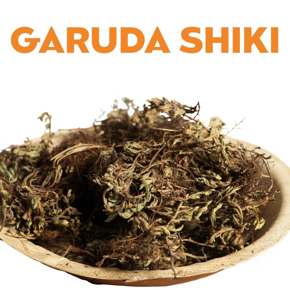 GARUDA SHIKI image 0
