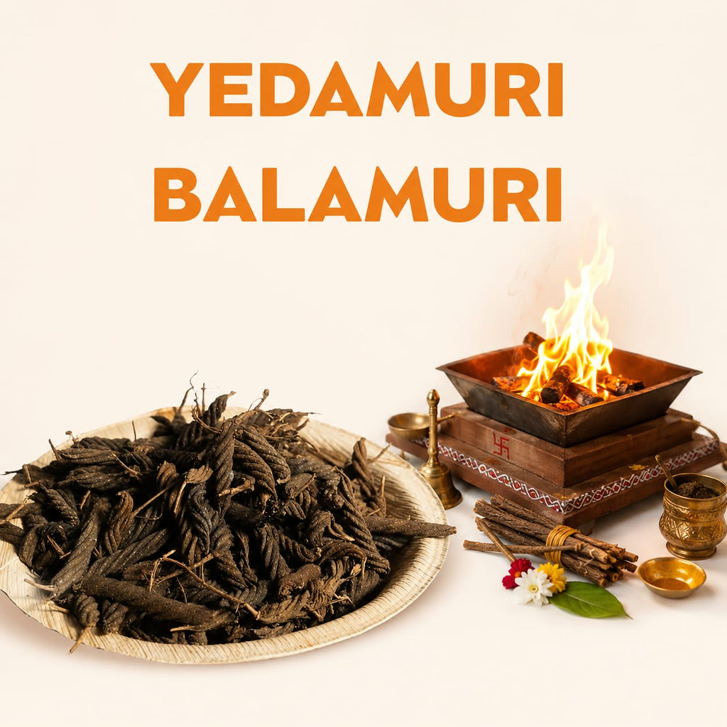 YEDAMURI BALAMURI image 1