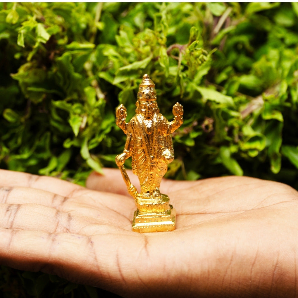 Satya Narayana Vigraha image 0