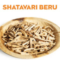 SHATAVARI BERU image 0