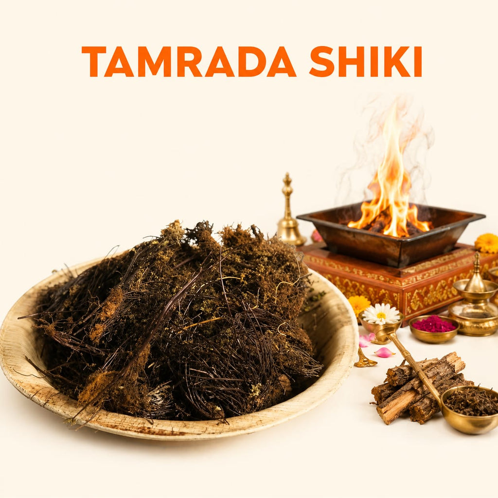 TAMRADA SHIKI image 1