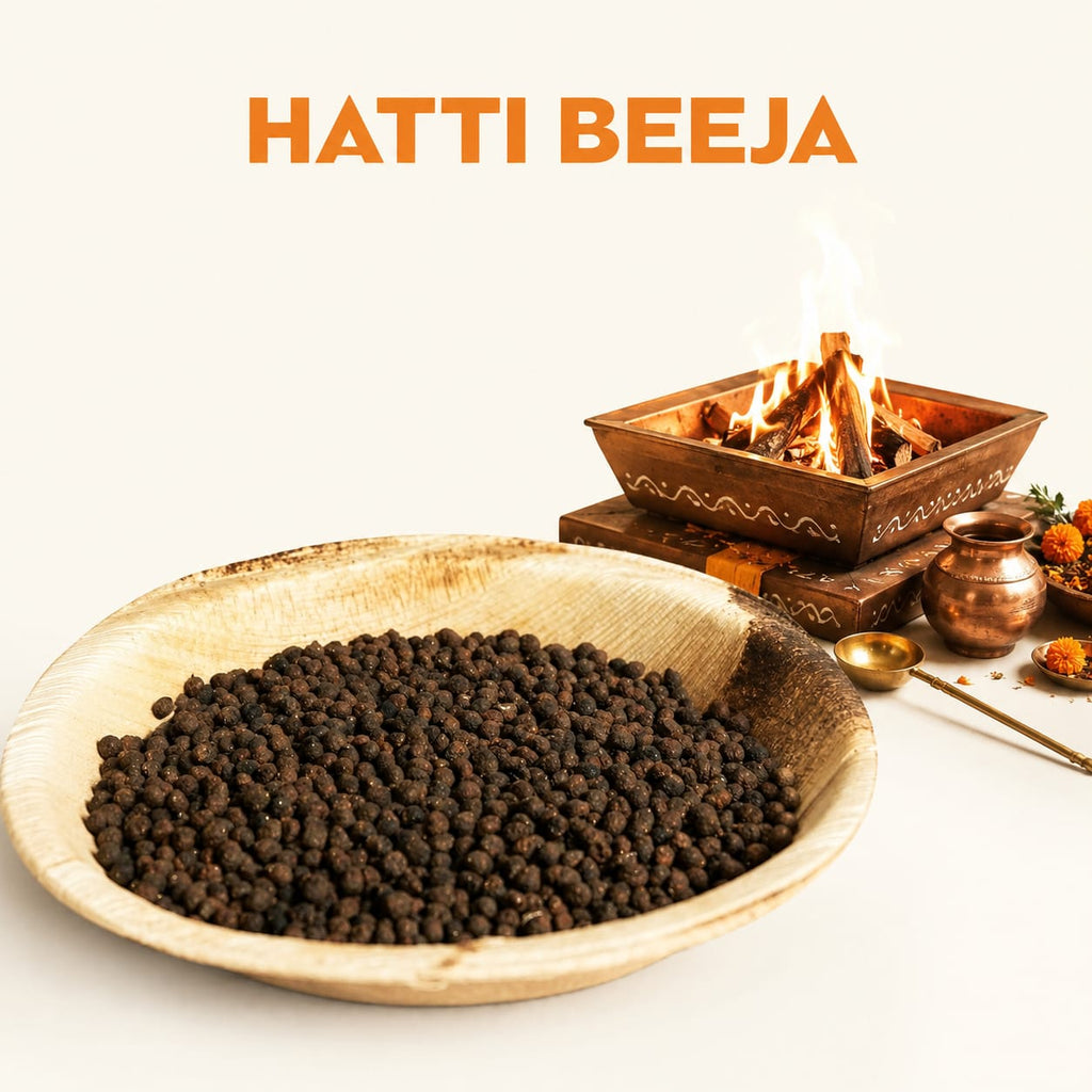 HATTI BEEJA image 1