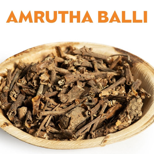 AMRUTHA BALLI image 0