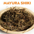 MAYURA SHIKI image 0
