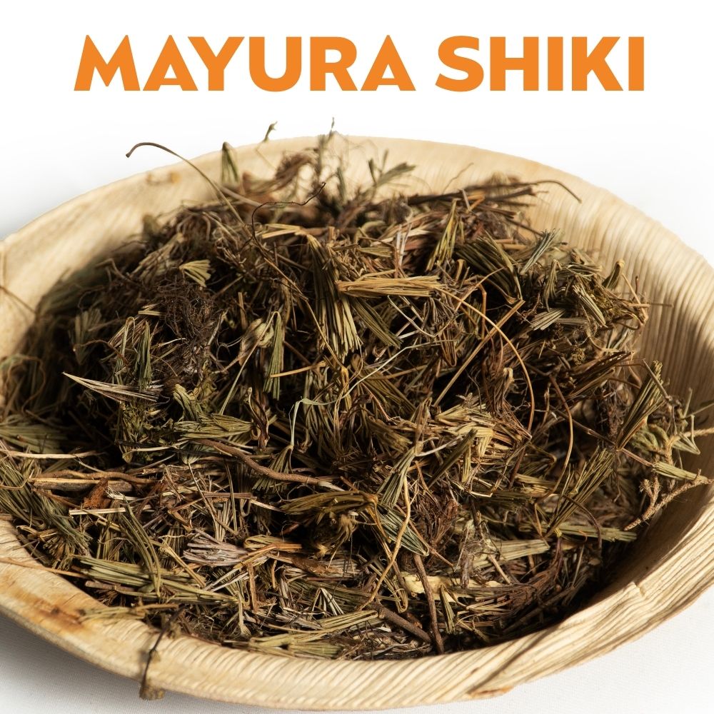 MAYURA SHIKI image 0