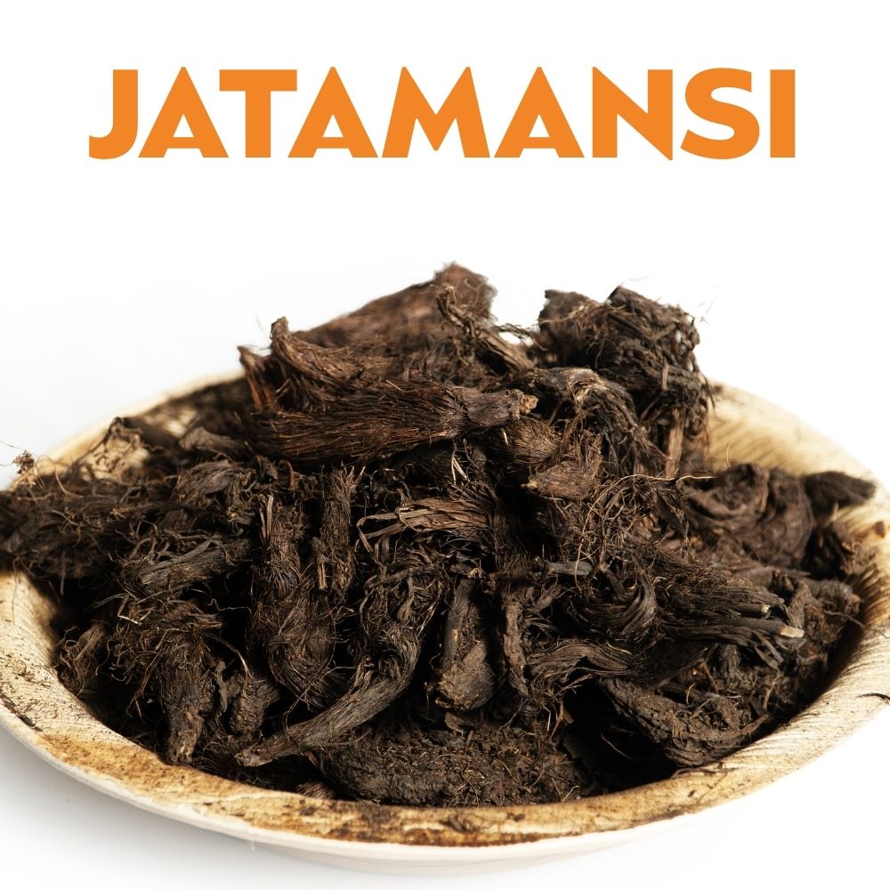 JATAMANSI image 0