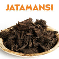 JATAMANSI image 0