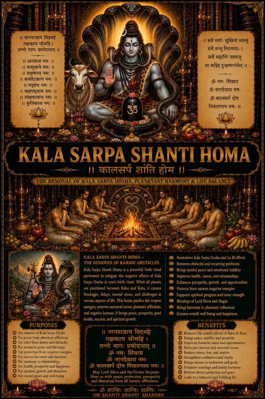 Kala Sarpa Shanti Homa Pooja Samagri Kit
