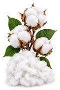 Cotton