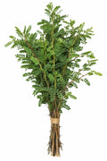Banni