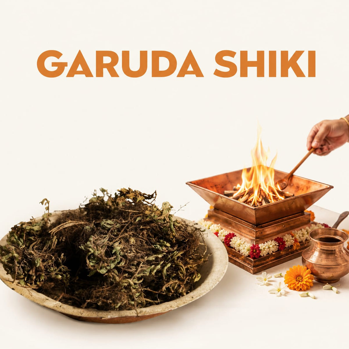 GARUDA SHIKI image 1