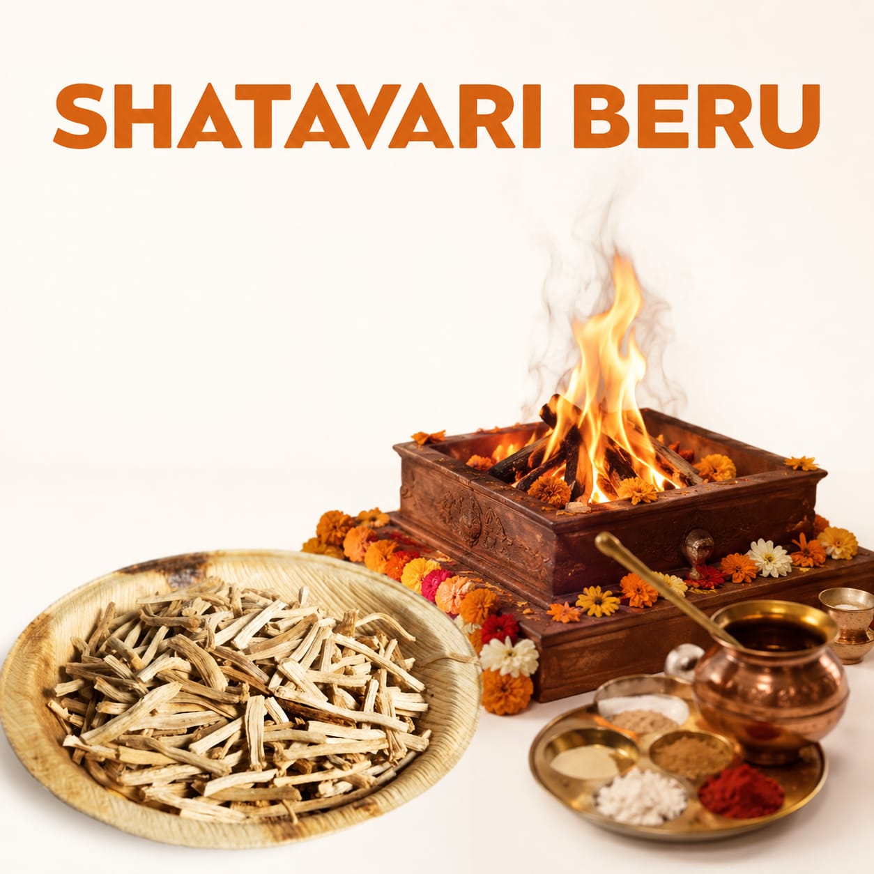 SHATAVARI BERU image 1