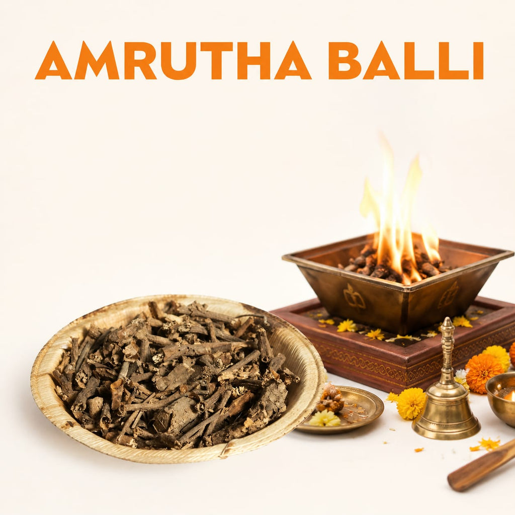 AMRUTHA BALLI image 1