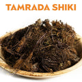 TAMRADA SHIKI image 0
