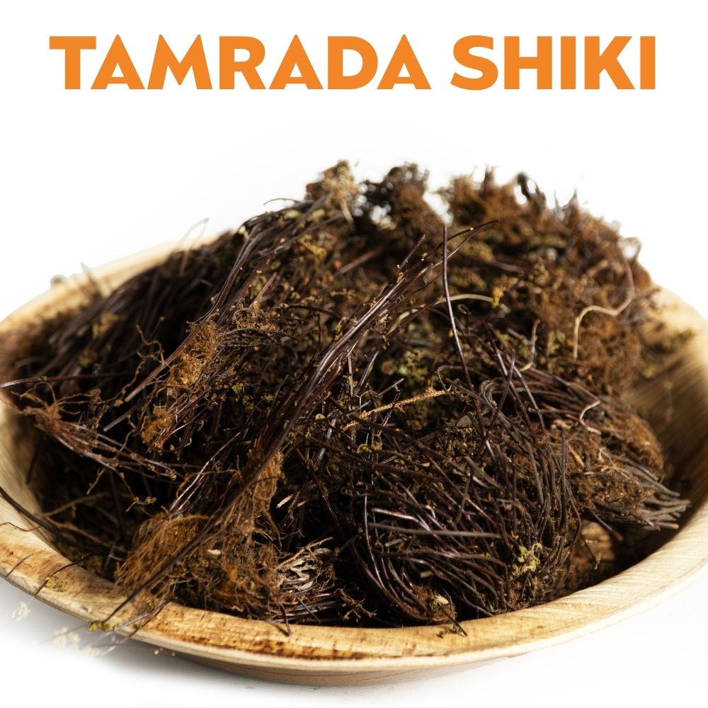 TAMRADA SHIKI image 0
