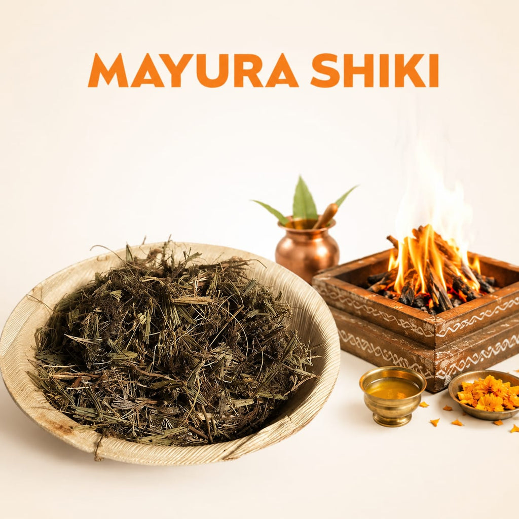 MAYURA SHIKI image 1