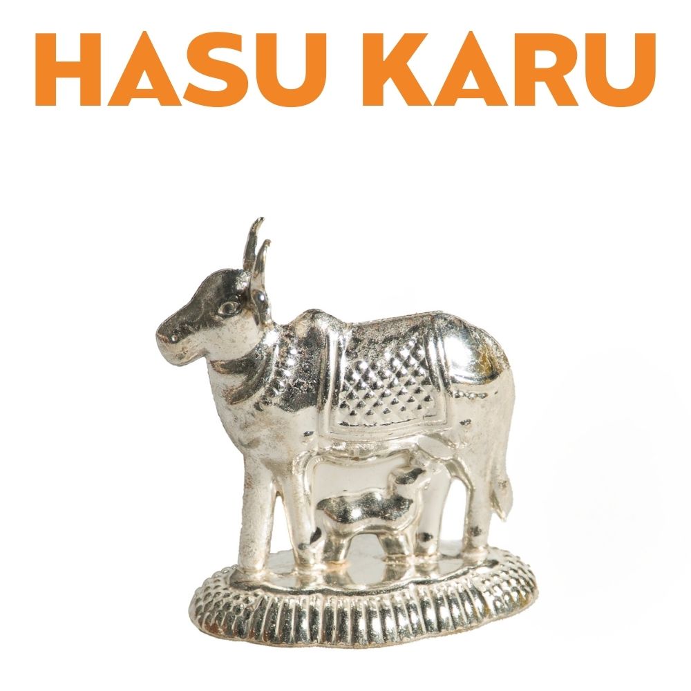 HASU KARU image 0