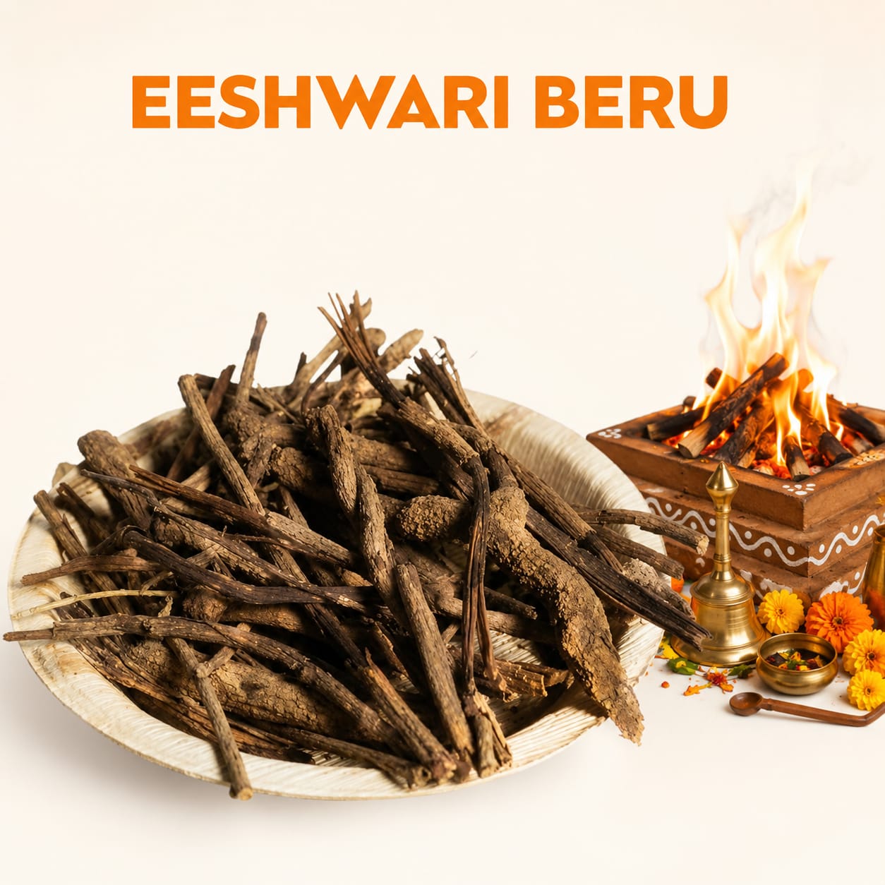 EESWARI BERU image 1